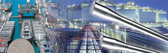 ������ö High Silicon Cast Iron Anode